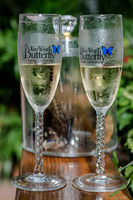 Danielle & Tom Key West Butterfly Conservatory Wedding-10