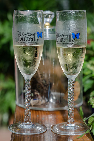 Danielle & Tom Key West Butterfly Conservatory Wedding-10